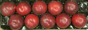 Fiches variétales Pêches Nectarines - Variété Nectardalas, nectarine à chair blanche (plateau)